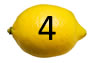 Bottom 4