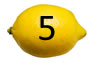 Bottom 5