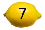 Bottom 7
