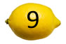 Bottom 9